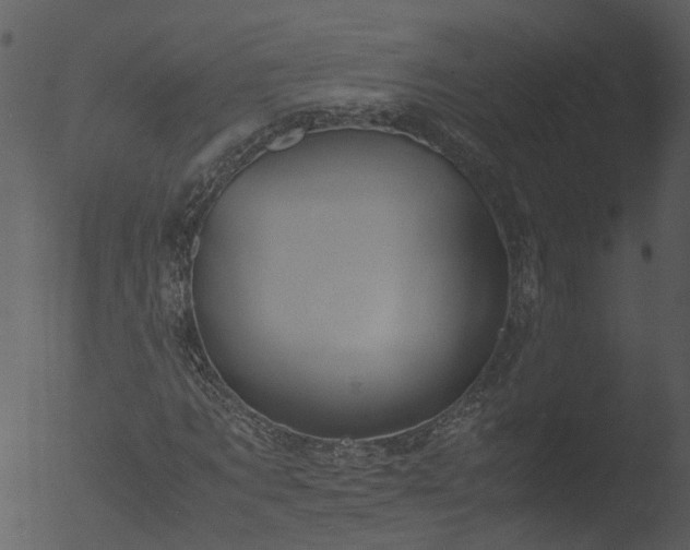 X0000053070869200507181623