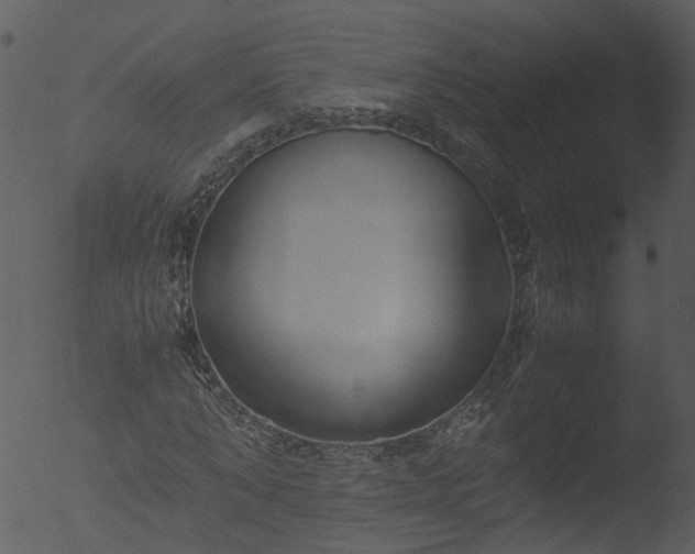 X0000053070870200507181623