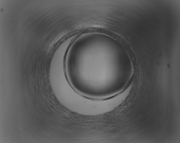 X0000053070871200507181623