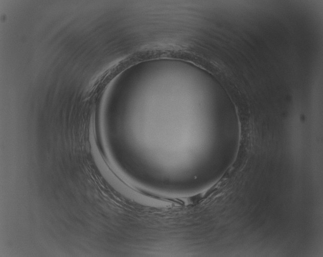 X0000053070872200507181623