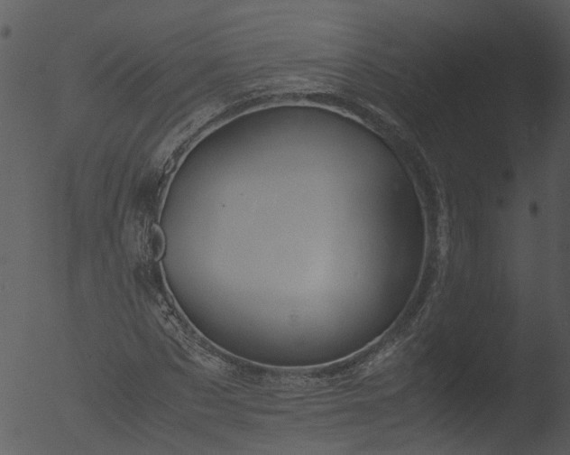 X0000053070873200507181623