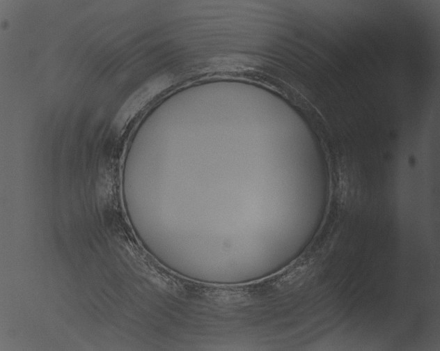 X0000053070874200507181623