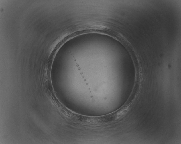 X0000053070875200507181623