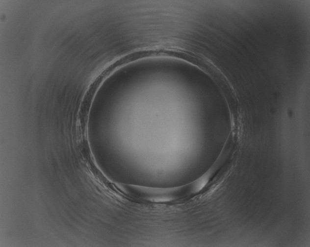 X0000053070876200507181623