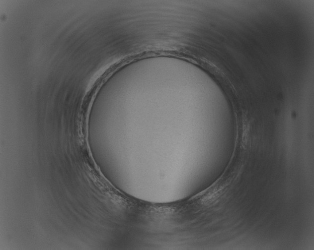 X0000053070878200507181623