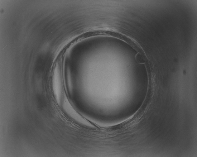 X0000053070879200507181623