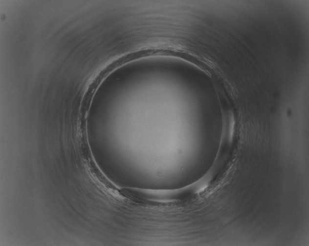 X0000053070880200507181623