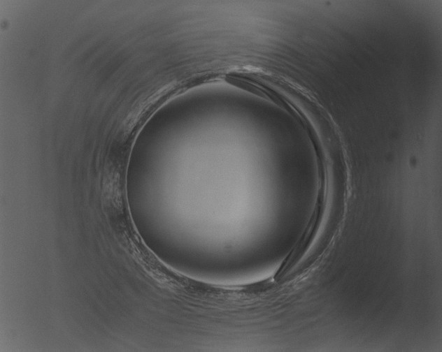 X0000053070881200507181623