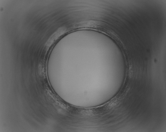 X0000053070882200507181623