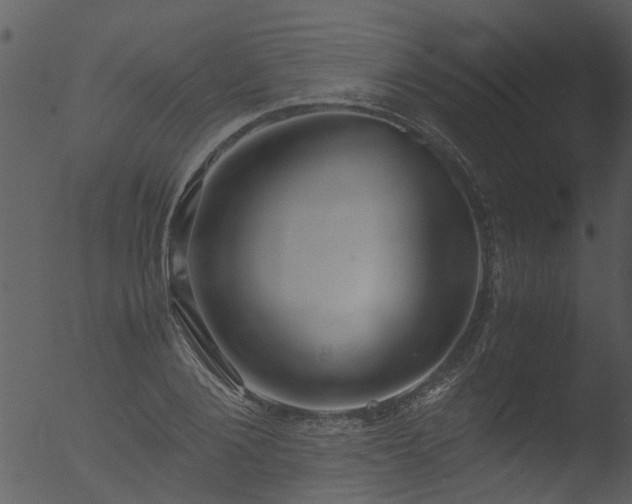 X0000053070884200507181623