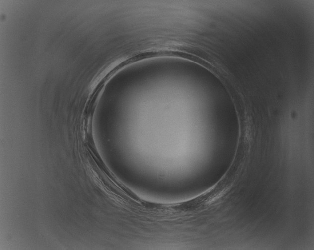 X0000053070885200507181623