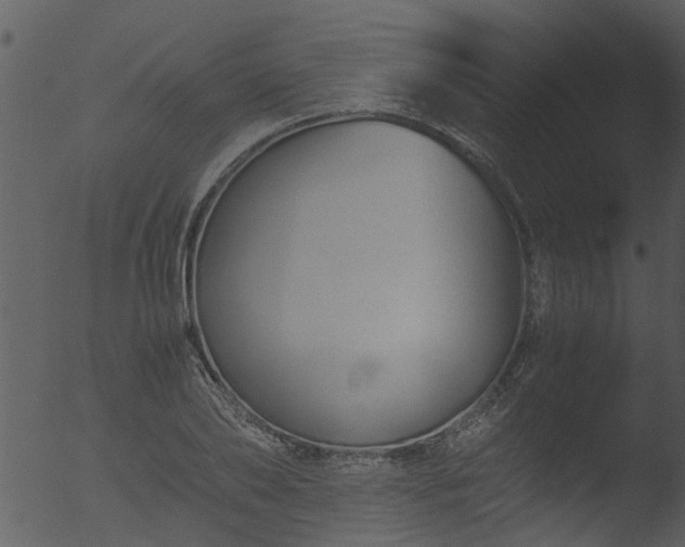 X0000053070886200507181623