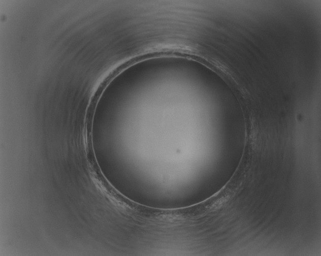 X0000053070888200507181623