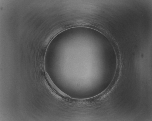 X0000053070889200507181623