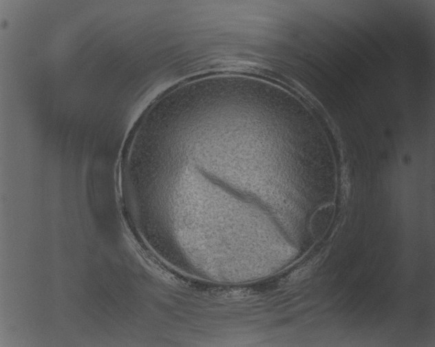 X0000053070891200507181623