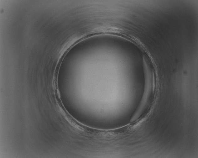 X0000053070893200507181623