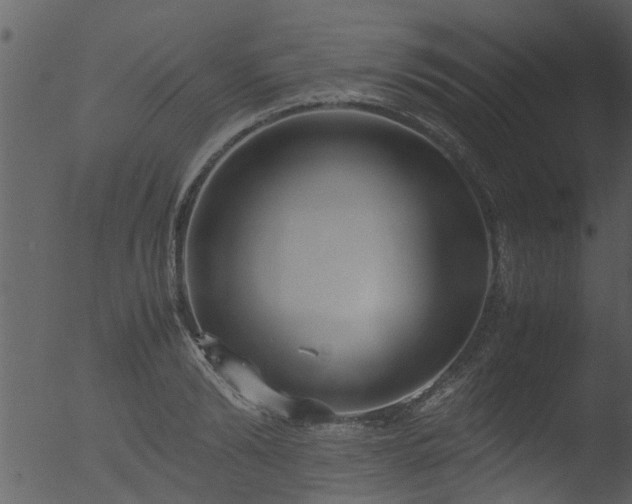 X0000053070894200507181623