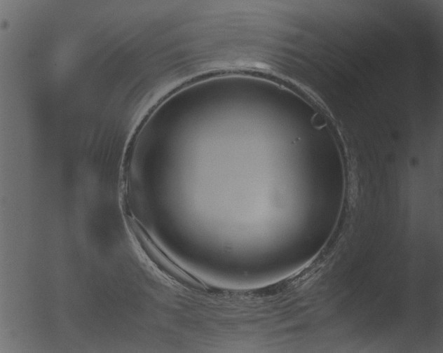 X0000053070895200507181623