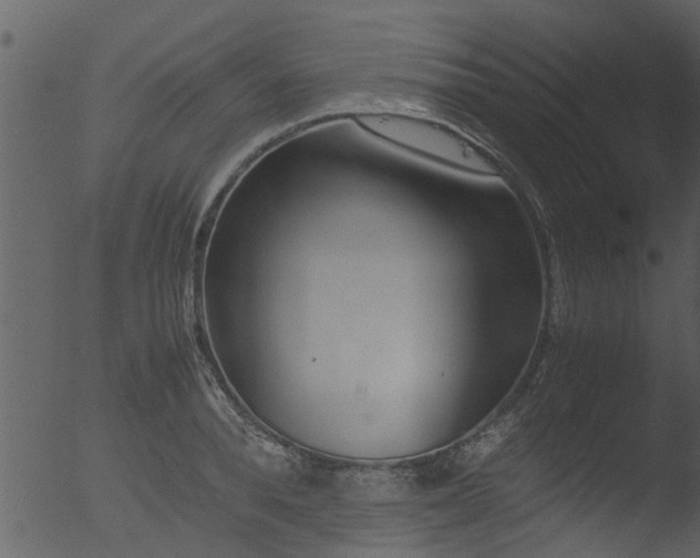 X0000053070896200507181623