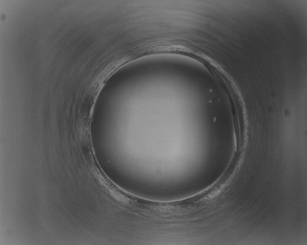 X0000053070897200507181623