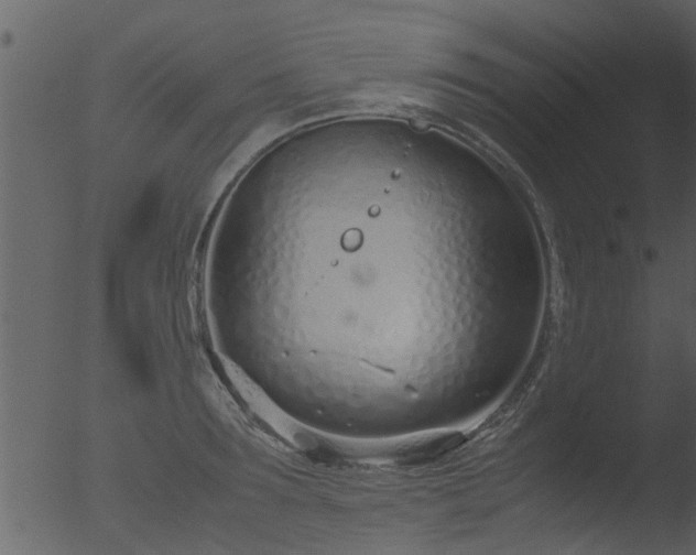 X0000053070899200507181623