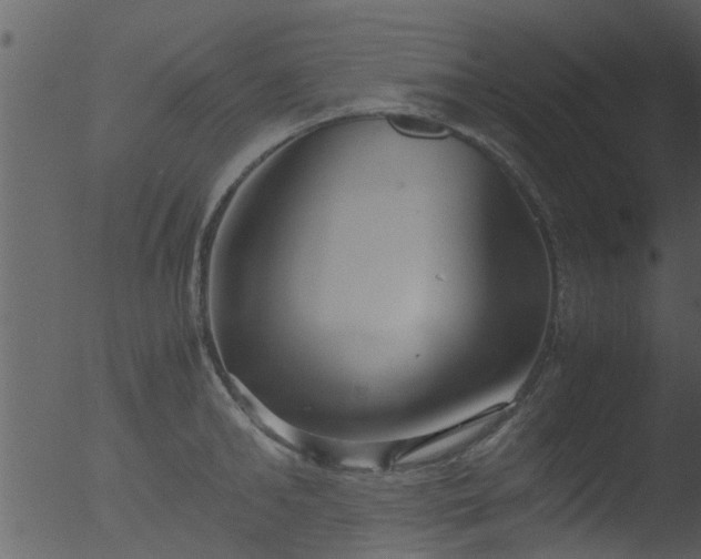 X0000053070902200507181623