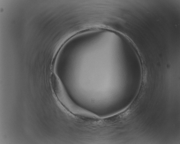 X0000053070903200507181623