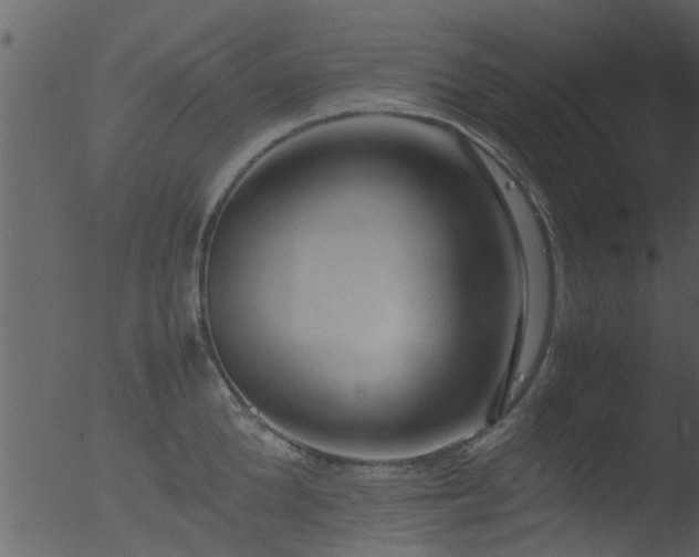 X0000053070904200507181623