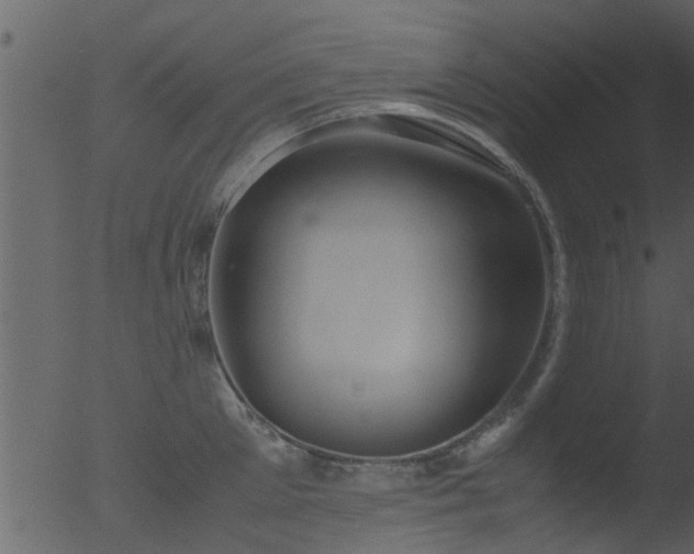 X0000053070905200507181623