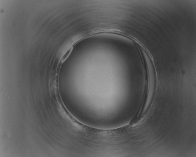 X0000053070906200507181623