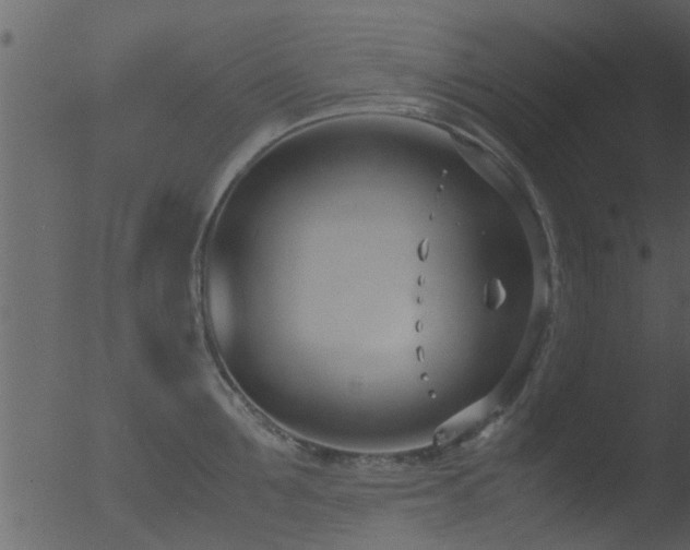 X0000053070907200507181623