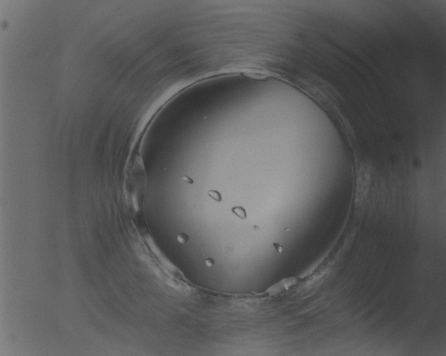 X0000053070908200507181623