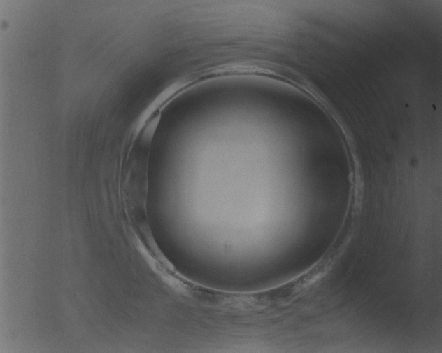 X0000053070909200507181623