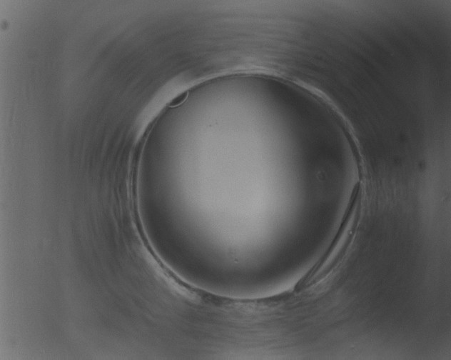 X0000053070910200507181623