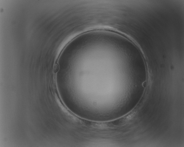 X0000053070911200507181623