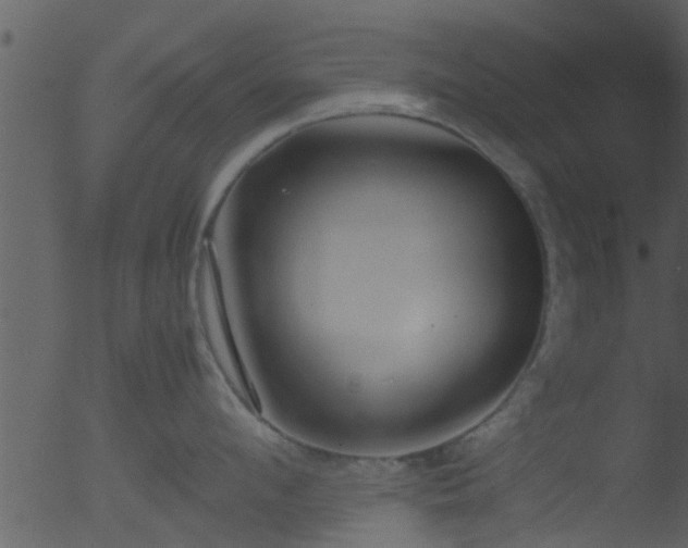 X0000053070912200507181623