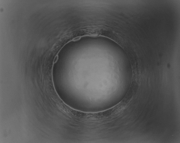 X0000053070913200507181622