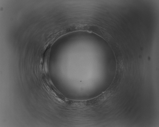 X0000053070914200507181622