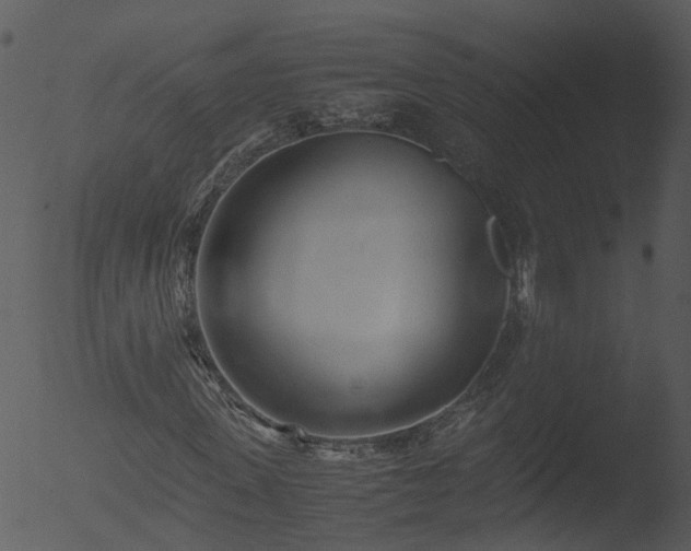 X0000053070915200507181622