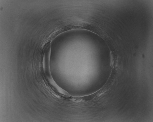 X0000053070916200507181622