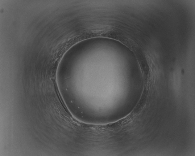 X0000053070917200507181622