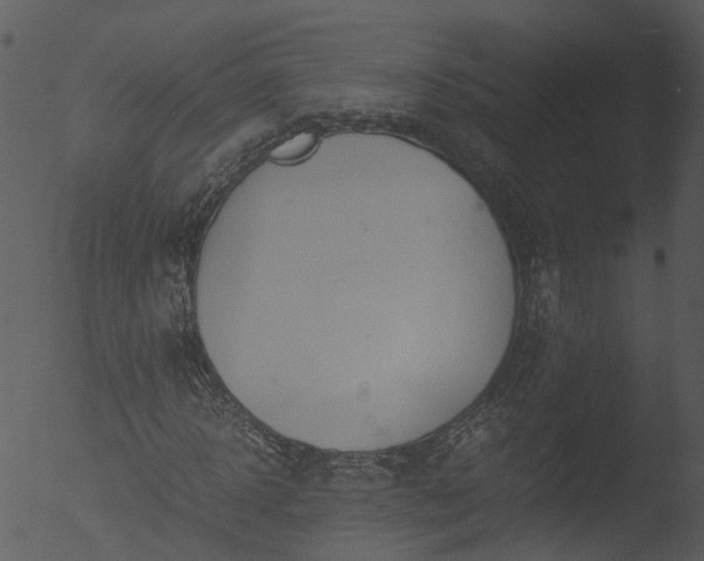 X0000053070918200507181622