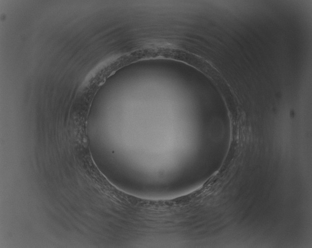 X0000053070919200507181622