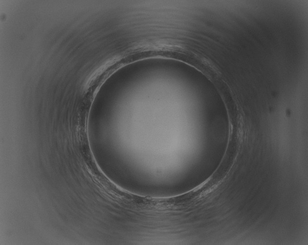 X0000053070922200507181622