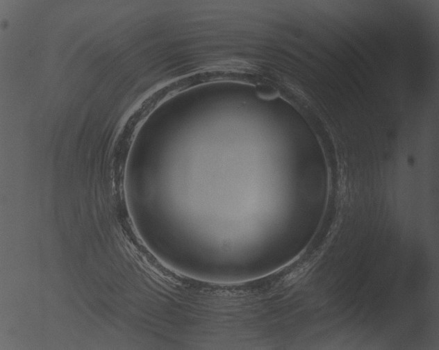 X0000053070923200507181622