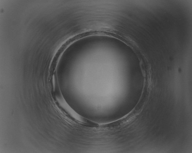 X0000053070924200507181622