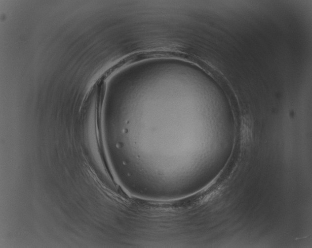 X0000053070925200507181622