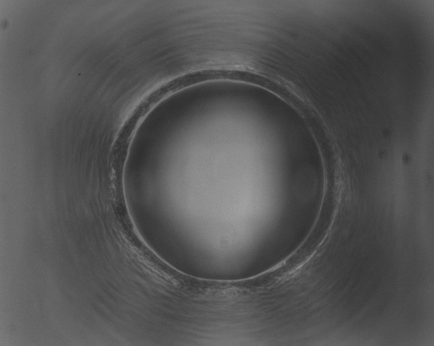 X0000053070926200507181622