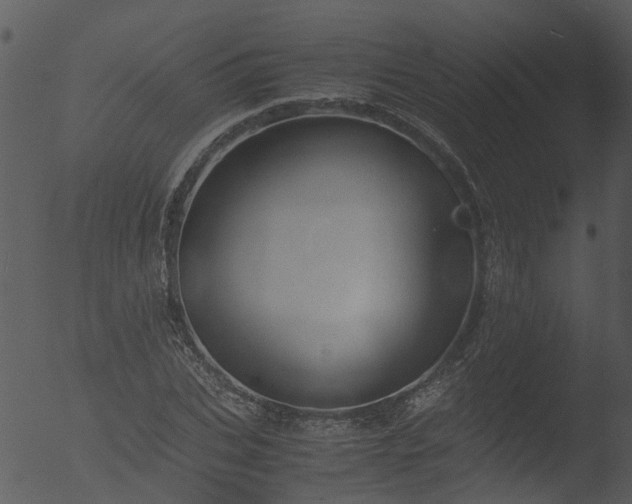 X0000053070927200507181622