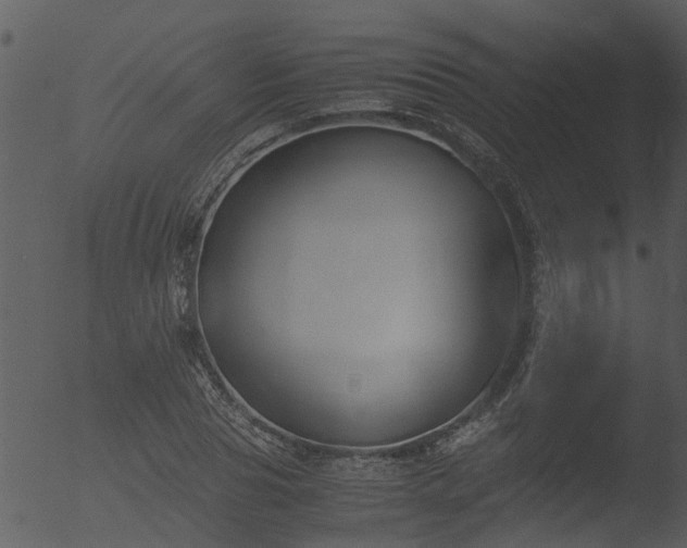 X0000053070929200507181622